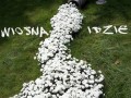 Już czuję wiosnę 
