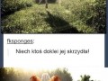 Dorobili jej skrzydła
