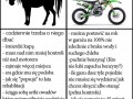 Koń vs motórrrrr