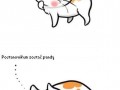 Koteł który chciał być pandą