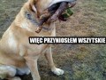 Nie byłem pewien