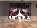 Pwomise me