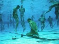 Trening seal