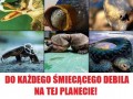 Nie śmieć kurwa