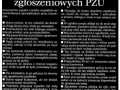 Pzu