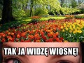 Wiosna wiosna