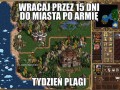 Tydzień plagi