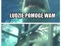 Głupi ludzie siedzą w klatce