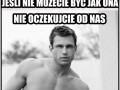 Wygląd
