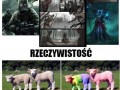 Jestem miszczem fotoszopa