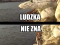 Głupota ludzka nie zna granic