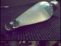 Felix felicis  elixir of happiness