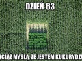Dobre maskowanie