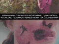 Walczmy z zielonym rakiem toczącym naszą planetę