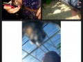 Selfie z motylkiem