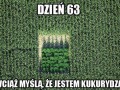 Nadal myślą