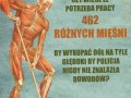 Fakty o mięśniach