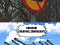 Jak zatrzymać inwazję