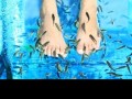 Fish pedicure
