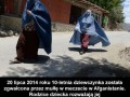 Islam w rozkwicie