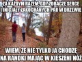 Serduszko