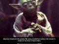 Wyznawcy jedi
