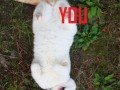 I you 1