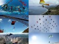 Just fly