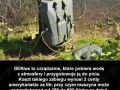 Woda prosto z powietrza