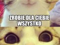Wszystko dla ciebie zrobię