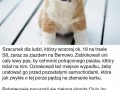 Wielki szacun