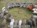 Wrong neighbourhood moterfucker