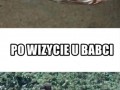 Obiad u babci