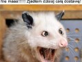 Mydło siarkowe