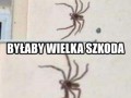 Byłaby wielka szkoda
