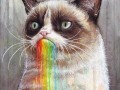 Grumpy i tęcza