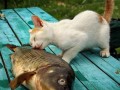 Awwwwww
