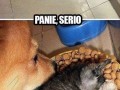 Panie weź