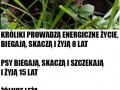 Styl życia