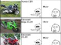 Co ludzie widzą