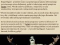 Przepis na kota