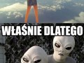 Właśnie dlatego elo
