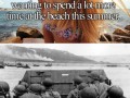 Summer on the beach