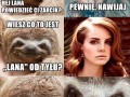 Lana od tyłu