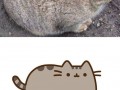 Pusheen istnieje
