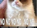 Noooo limit