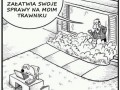 Grube sprawy