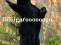 Fiiiiiiigaro