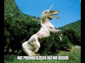 Raptorunicorn