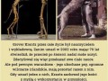 Prawdziwa przyjaźń